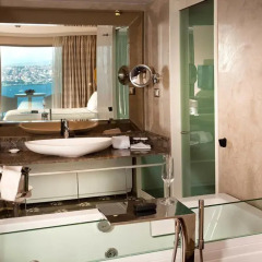 Opera Hotel 4* Президентский люкс с различными типами кроватей фото 4