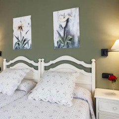 Hotel La Boriza 3* Стандартный номер с различными типами кроватей фото 15