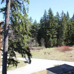 Апартаменты PM Services Borovets Garden Apartments Боровец