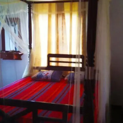 Отель Summer House Mirissa Стандартный номер с различными типами кроватей