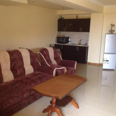 Апартаменты Apartments in Tsaghkadzor в номере фото 2