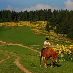 Отель Homestay Süllü Dağ Evi Гиресун спортивное сооружение