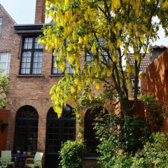 Отель B&B Next Door 4* Люкс с различными типами кроватей фото 30