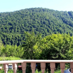 Отель Family & Friends Guest house балкон