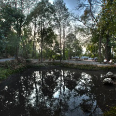 Отель Dwarikas Resort - Dhulikhel Непал, Дхуликхел - отзывы, цены и фото номеров - забронировать отель Dwarikas Resort - Dhulikhel онлайн приотельная территория