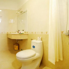 Отель Mango Garden Hoi An Homestay 3* Улучшенный номер с 2 отдельными кроватями