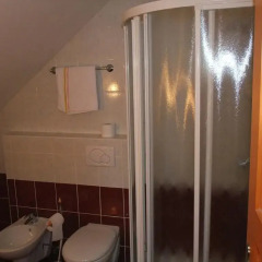 Отель Guesthouse Aleš 3* Номер категории Эконом с различными типами кроватей