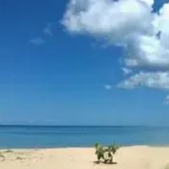 Отель TT Naiyang Beach Phuket 2* Номер Эконом разные типы кроватей фото 18