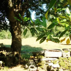 Отель La Ventanita Del Campo фото 8