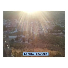 Отель Apartamentos Pájaro Azul Студия фото 29
