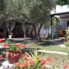 Отель Olive House Ситония помещение для мероприятий