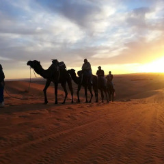 Отель Le Petit Prince Merzouga Марокко, Мерзуга - отзывы, цены и фото номеров - забронировать отель Le Petit Prince Merzouga онлайн пляж