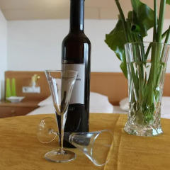 Appartement Hotel Matscher Wellness & Beauty Аппиано-сулла-Страда-дель-Вино в номере фото 2