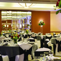 Отель Hilton Suites Chicago/Magnificent Mile