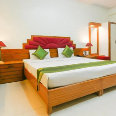 Hotel Natraj 3* Стандартный номер с различными типами кроватей фото 11