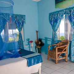 Отель Ackee Tree Sea View Villa комната для гостей фото 3