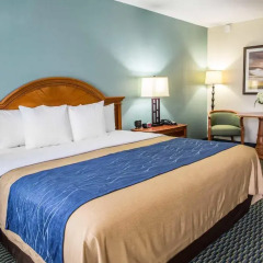 Отель Comfort Inn On the Ocean 3* Стандартный номер с различными типами кроватей фото 3