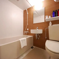 Отель Sotetsu Fresa Inn Tokyo-Kyobashi 3* Стандартный номер с различными типами кроватей фото 2
