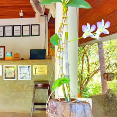 Отель The Place Luxury Boutique Villas Таиланд, Остров Тау - отзывы, цены и фото номеров - забронировать отель The Place Luxury Boutique Villas онлайн интерьер отеля фото 3
