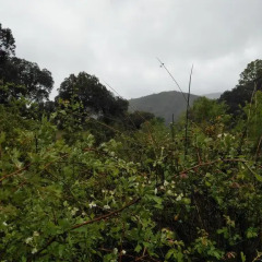Отель La Venta del Arriero фото 8