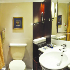 Shanghai Grand Trustel Purple Mountain Hotel 5* Номер Делюкс с двуспальной кроватью фото 4