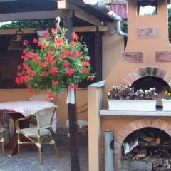 Отель Székelykert Vendéglő és Panzió Венгрия, Силвашварад - отзывы, цены и фото номеров - забронировать отель Székelykert Vendéglő és Panzió онлайн питание