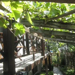 Отель Guest House Voyno