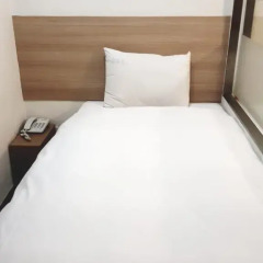 Hotel Irene City 2* Стандартный номер с различными типами кроватей фото 3