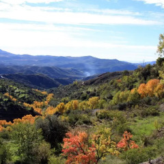Отель Cortijo Buena Vista Сьерра-Невада фото 4