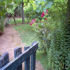 Отель Quinta das Aranhas Кастело-де-Пайва фото 9