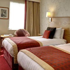 Best Western Plus Milford Hotel 3* Стандартный номер с различными типами кроватей фото 3