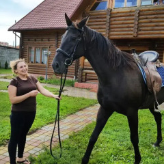 Гостиница Guest house u Okhotnika с домашними животными