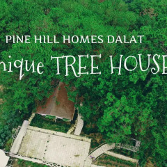 Отель Pine Hill Homestay Dalat спортивное сооружение