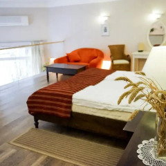 Отель Guest House Senasis Pastas Литва, Друскининкай - 2 отзыва об отеле, цены и фото номеров - забронировать отель Guest House Senasis Pastas онлайн комната для гостей фото 2