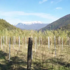 Отель B&B Il Chioso Аулла фото 7
