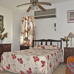 Отель Carib Beach Apartments Negril Ямайка, Вестморленд - отзывы, цены и фото номеров - забронировать отель Carib Beach Apartments Negril онлайн комната для гостей фото 3
