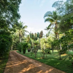 Отель Nisala Arana Boutique Hotel Шри-Ланка, Бентота - отзывы, цены и фото номеров - забронировать отель Nisala Arana Boutique Hotel онлайн фото 7