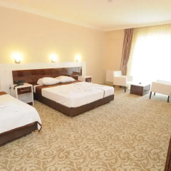 Hotel Germanicia 3* Стандартный номер с различными типами кроватей фото 6