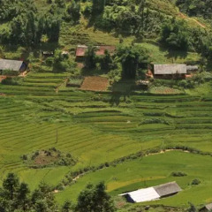 Отель Sapa Eden Hotel Вьетнам, Шапа - 1 отзыв об отеле, цены и фото номеров - забронировать отель Sapa Eden Hotel онлайн фото 5