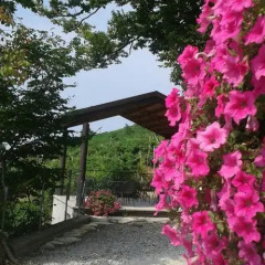 Отель Agriturismo Due Carpini Вальдоббьадене фото 7