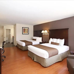 Отель Best Western Plus Dragon Gate Inn 2* Стандартный номер с 2 отдельными кроватями фото 3