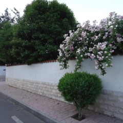 Отель Giardino Di Pan Италия, Казаль Палоччо - отзывы, цены и фото номеров - забронировать отель Giardino Di Pan онлайн фото 4