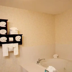 Отель Hampton Inn Indianapolis Downtown Across from Circle Centre 3* Люкс с различными типами кроватей фото 10