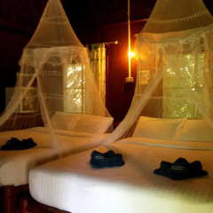 Отель Koh Tao Royal Resort 3* Стандартный номер с различными типами кроватей фото 5