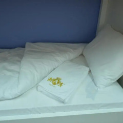 Downtown Central Hostel Кровать в общем номере с двухъярусной кроватью фото 12