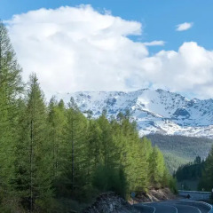 Гостиница Гостиный двор Алтай фото 3