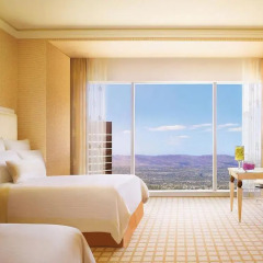 Отель Wynn Las Vegas Номер Делюкс фото 4