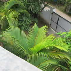 Отель Bay Reach Home Stay балкон