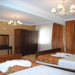 Metin Han Hotel 2* Стандартный номер с различными типами кроватей фото 2