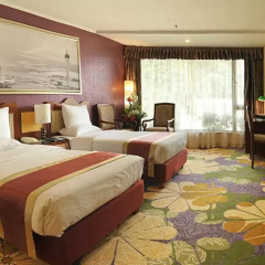 Hotel Guia 3* Номер Делюкс с разными типами кроватей фото 3